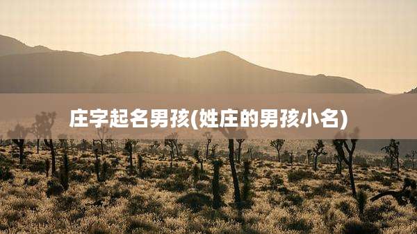 庄字起名男孩(姓庄的男孩小名)