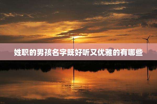 姓职的男孩名字既好听又优雅的有哪些