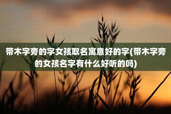 带木字旁的字女孩取名寓意好的字(带木字旁的女孩名字有什么好听的吗)