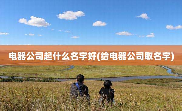 电器公司起什么名字好(给电器公司取名字)