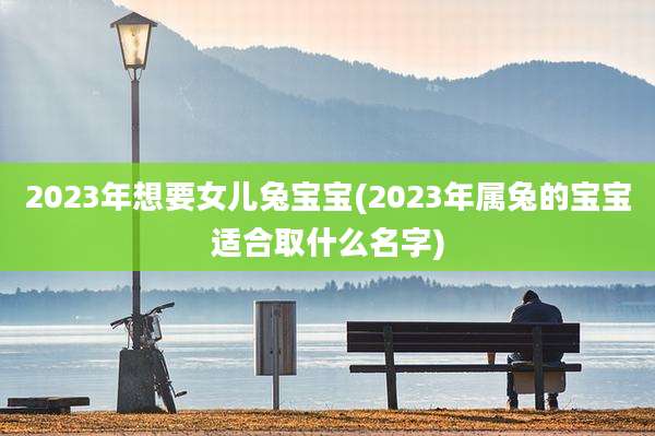 2023年想要女儿兔宝宝(2023年属兔的宝宝适合取什么名字)