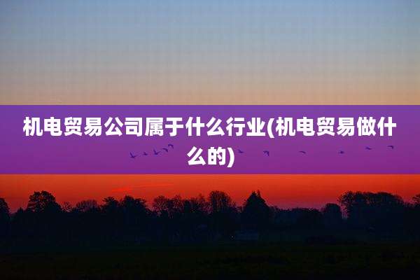 机电贸易公司属于什么行业(机电贸易做什么的)