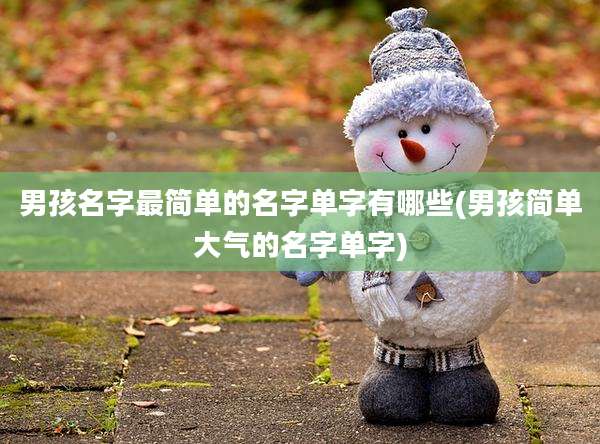 男孩名字最简单的名字单字有哪些(男孩简单大气的名字单字)