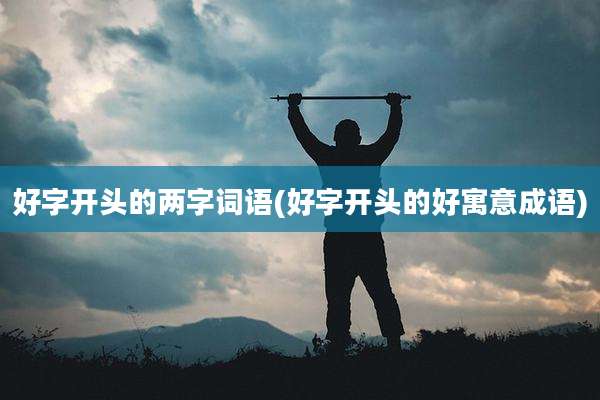 好字开头的两字词语(好字开头的好寓意成语)