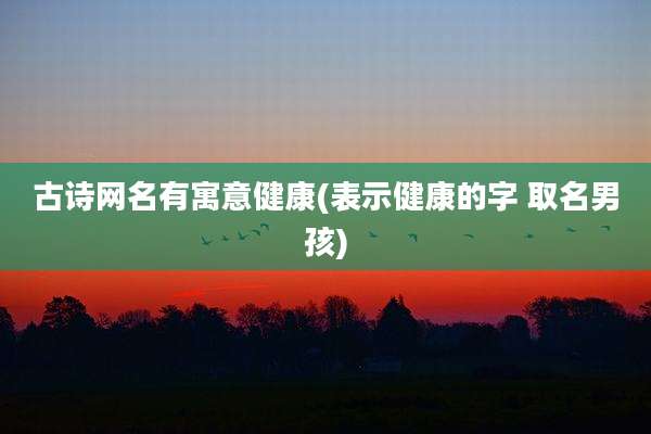 古诗网名有寓意健康(表示健康的字 取名男孩)