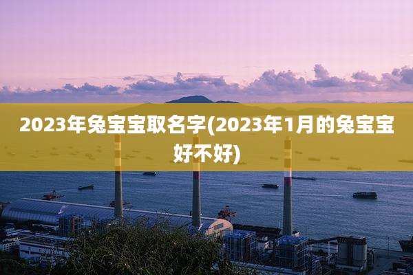 2023年兔宝宝取名字(2023年1月的兔宝宝好不好)