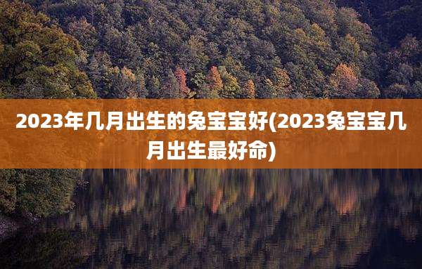 2023年几月出生的兔宝宝好(2023兔宝宝几月出生最好命)