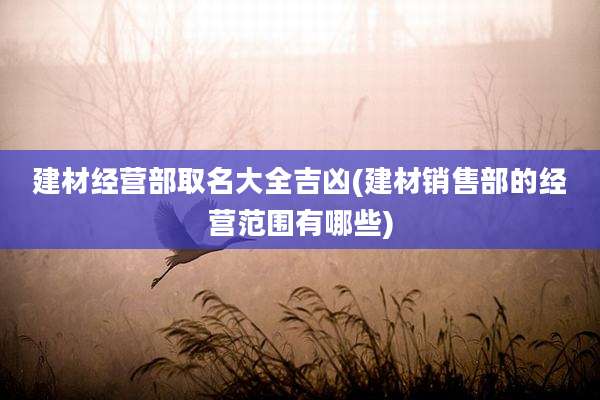 建材经营部取名大全吉凶(建材销售部的经营范围有哪些)