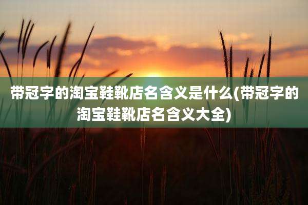 带冠字的淘宝鞋靴店名含义是什么(带冠字的淘宝鞋靴店名含义大全)