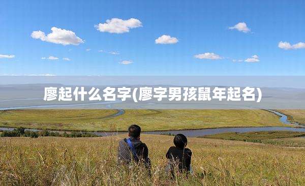 廖起什么名字(廖字男孩鼠年起名)