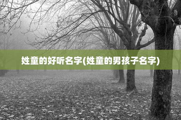 姓童的好听名字(姓童的男孩子名字)