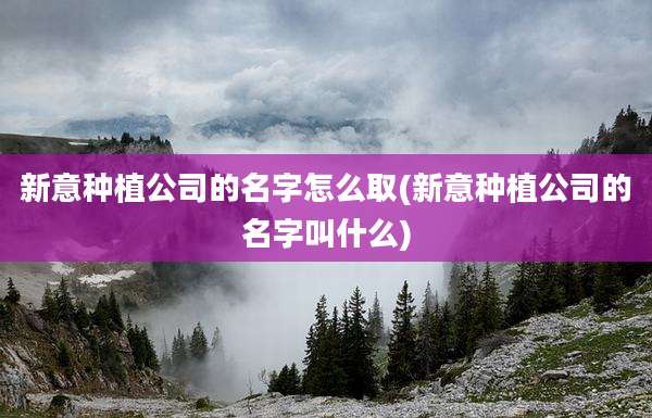 新意种植公司的名字怎么取(新意种植公司的名字叫什么)