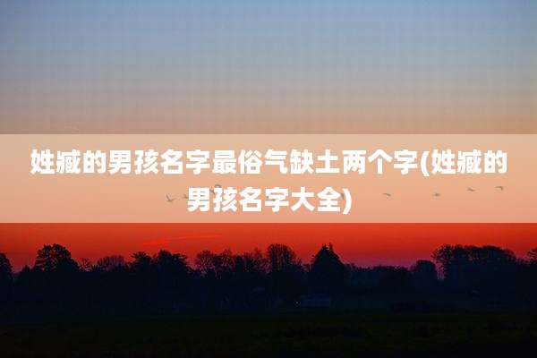 姓臧的男孩名字最俗气缺土两个字(姓臧的男孩名字大全)