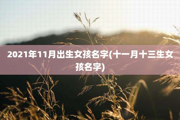 2021年11月出生女孩名字(十一月十三生女孩名字)