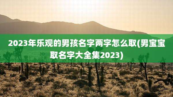 2023年乐观的男孩名字两字怎么取(男宝宝取名字大全集2023)