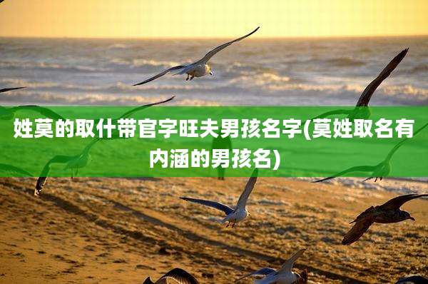 姓莫的取什带官字旺夫男孩名字(莫姓取名有内涵的男孩名)