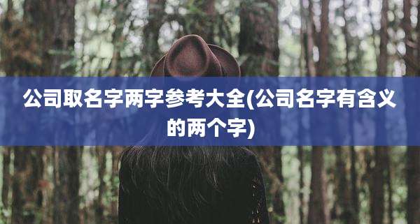 公司取名字两字参考大全(公司名字有含义的两个字)