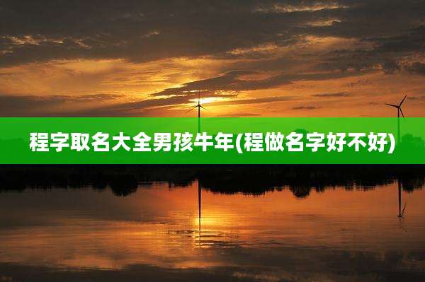程字取名大全男孩牛年(程做名字好不好)