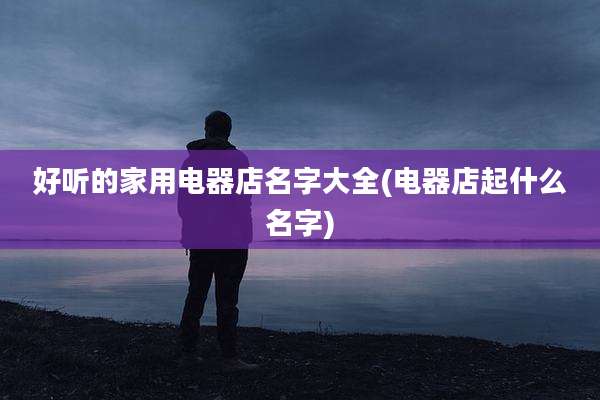 好听的家用电器店名字大全(电器店起什么名字)