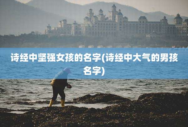 诗经中坚强女孩的名字(诗经中大气的男孩名字)