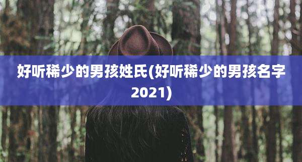 好听稀少的男孩姓氏(好听稀少的男孩名字2021)