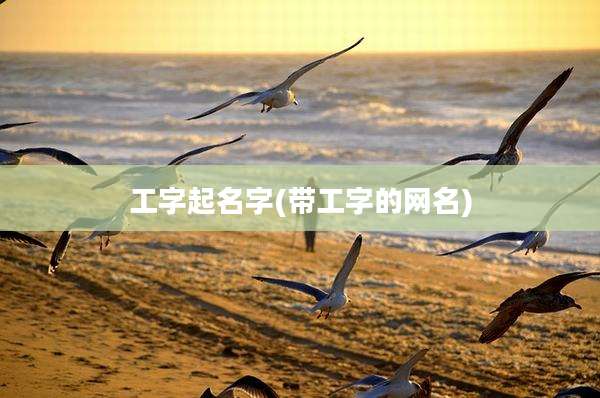 工字起名字(带工字的网名)