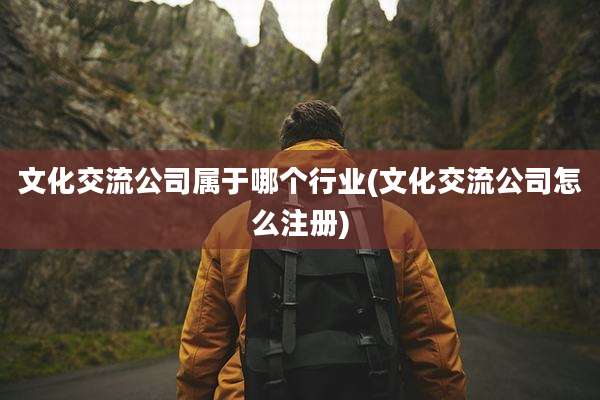 文化交流公司属于哪个行业(文化交流公司怎么注册)