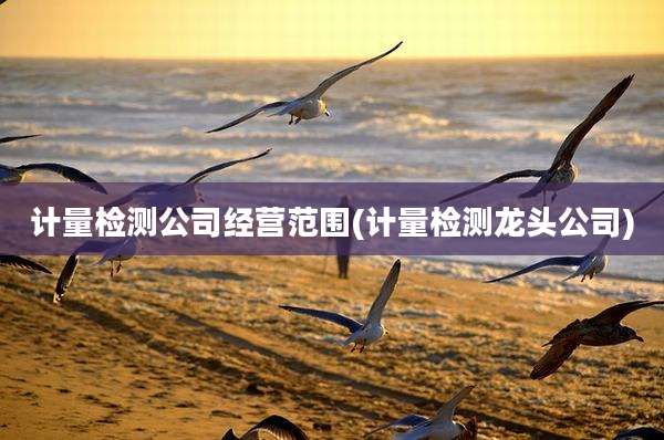 计量检测公司经营范围(计量检测龙头公司)