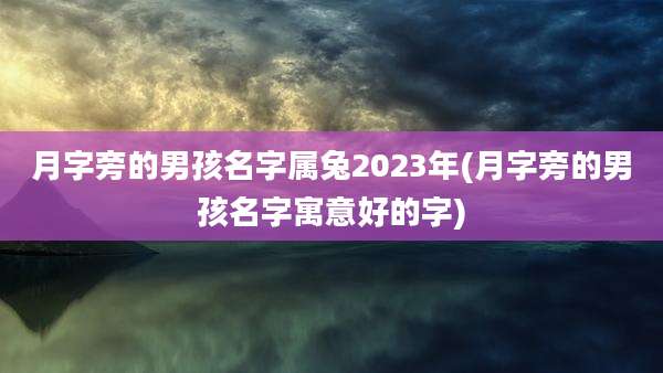 月字旁的男孩名字属兔2023年(月字旁的男孩名字寓意好的字)