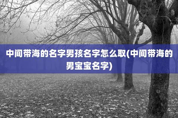 中间带海的名字男孩名字怎么取(中间带海的男宝宝名字)