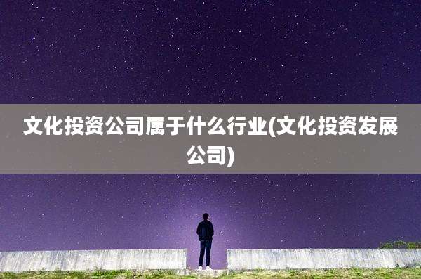 文化投资公司属于什么行业(文化投资发展公司)