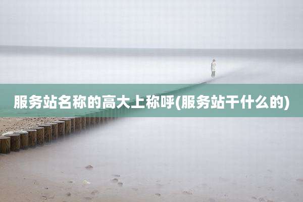 服务站名称的高大上称呼(服务站干什么的)