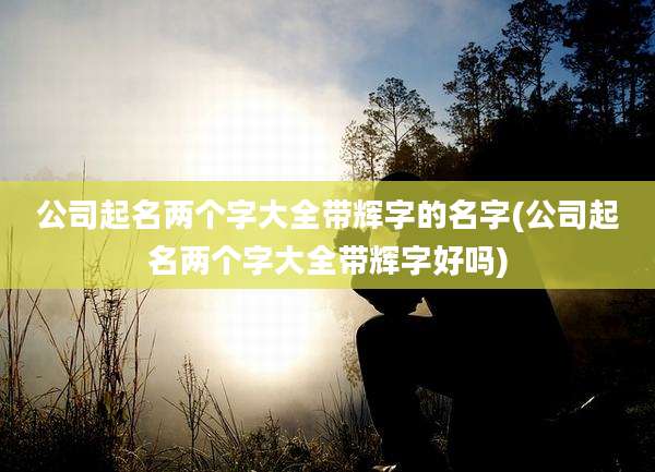 公司起名两个字大全带辉字的名字(公司起名两个字大全带辉字好吗)