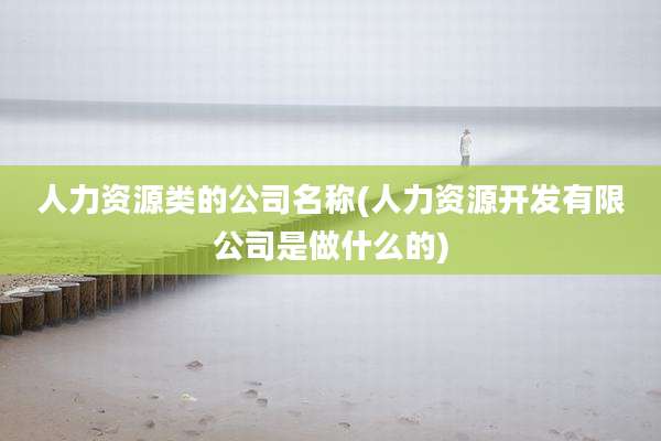 人力资源类的公司名称(人力资源开发有限公司是做什么的)