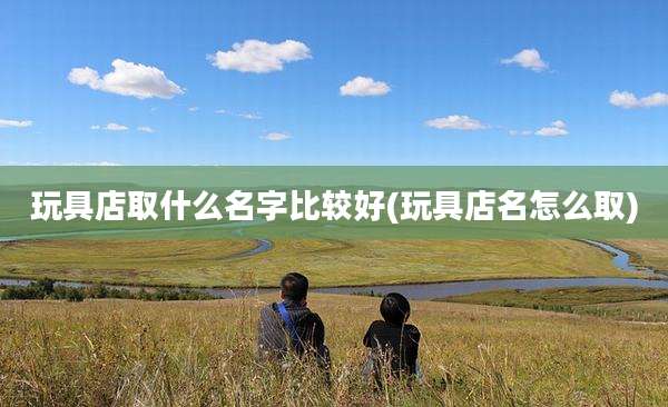 玩具店取什么名字比较好(玩具店名怎么取)