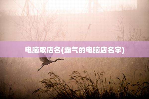 电脑取店名(霸气的电脑店名字)