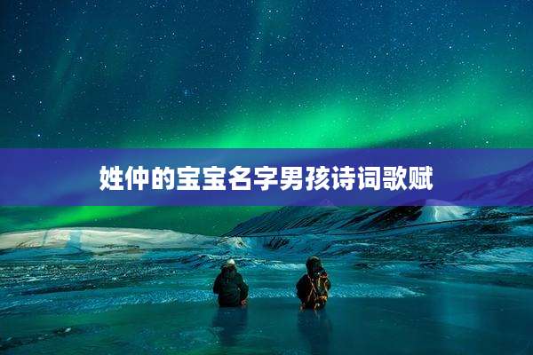 姓仲的宝宝名字男孩诗词歌赋