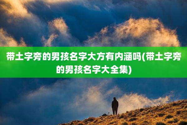 带土字旁的男孩名字大方有内涵吗(带土字旁的男孩名字大全集)