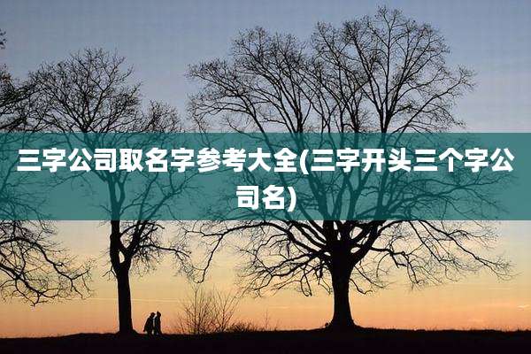 三字公司取名字参考大全(三字开头三个字公司名)