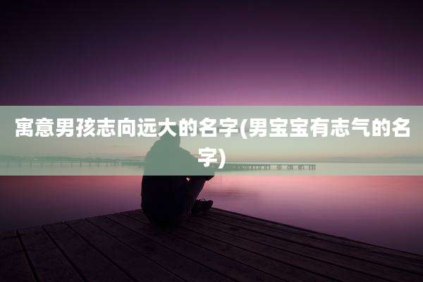 寓意男孩志向远大的名字(男宝宝有志气的名字)