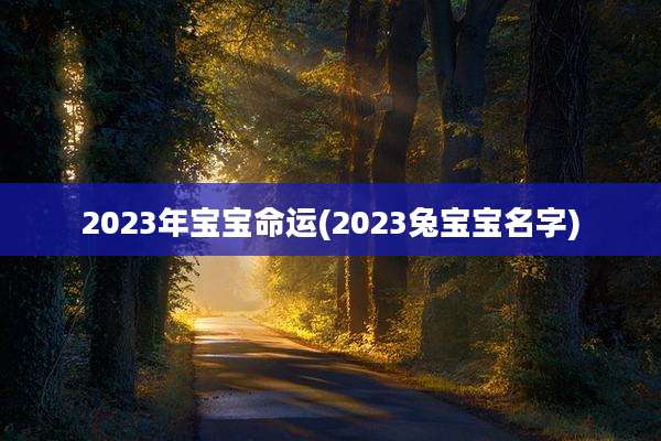 2023年宝宝命运(2023兔宝宝名字)