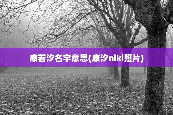 康若汐名字意思(康汐niki照片)