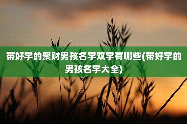 带好字的聚财男孩名字双字有哪些(带好字的男孩名字大全)