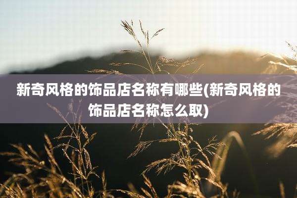 新奇风格的饰品店名称有哪些(新奇风格的饰品店名称怎么取)