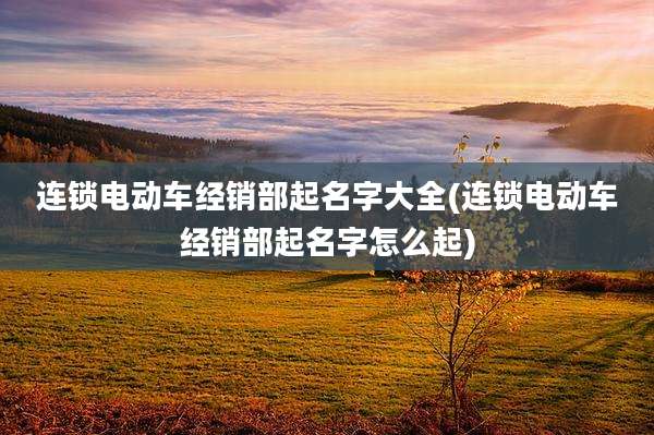 连锁电动车经销部起名字大全(连锁电动车经销部起名字怎么起)