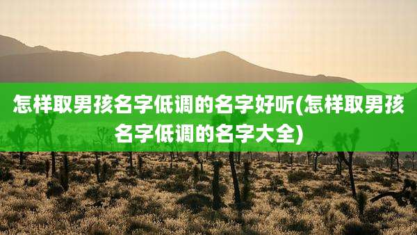 怎样取男孩名字低调的名字好听(怎样取男孩名字低调的名字大全)