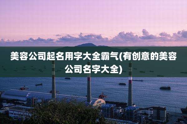 美容公司起名用字大全霸气(有创意的美容公司名字大全)