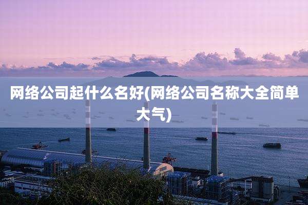 网络公司起什么名好(网络公司名称大全简单大气)