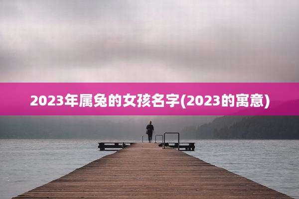2023年属兔的女孩名字(2023的寓意)