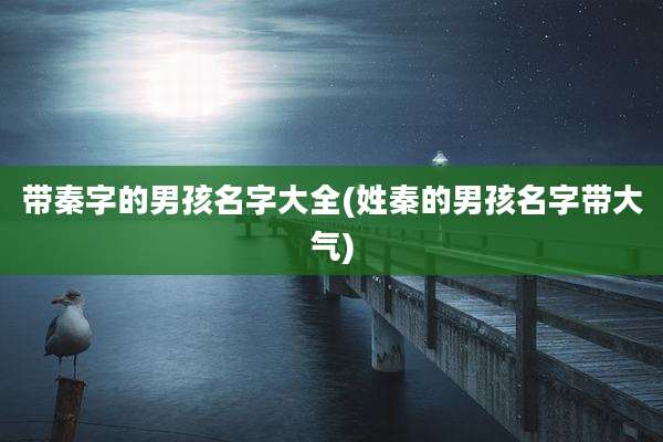 带秦字的男孩名字大全(姓秦的男孩名字带大气)